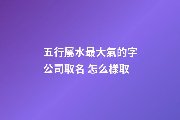 五行屬水最大氣的字公司取名 怎么樣取-第1張-公司起名-玄機派